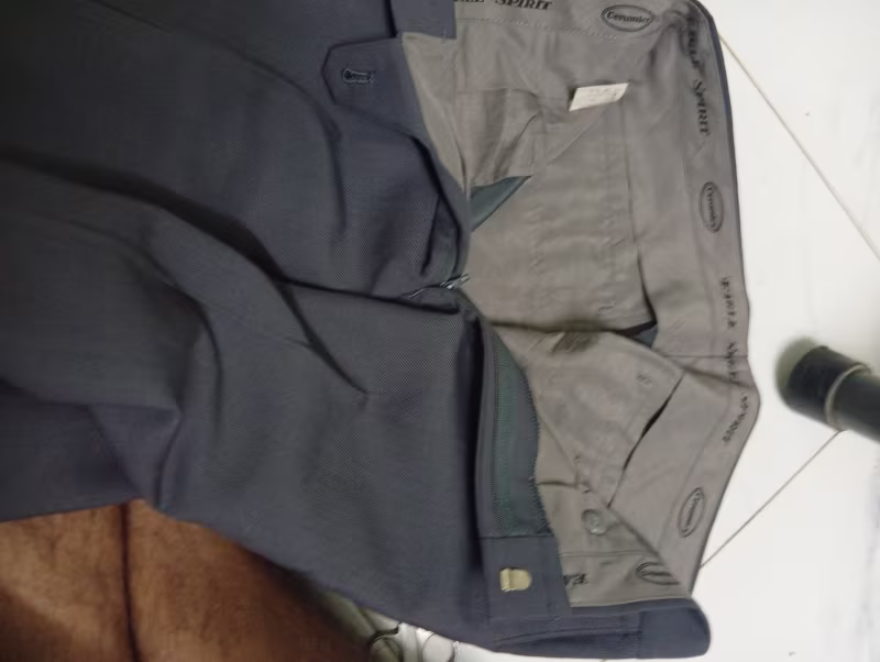 Dress pant