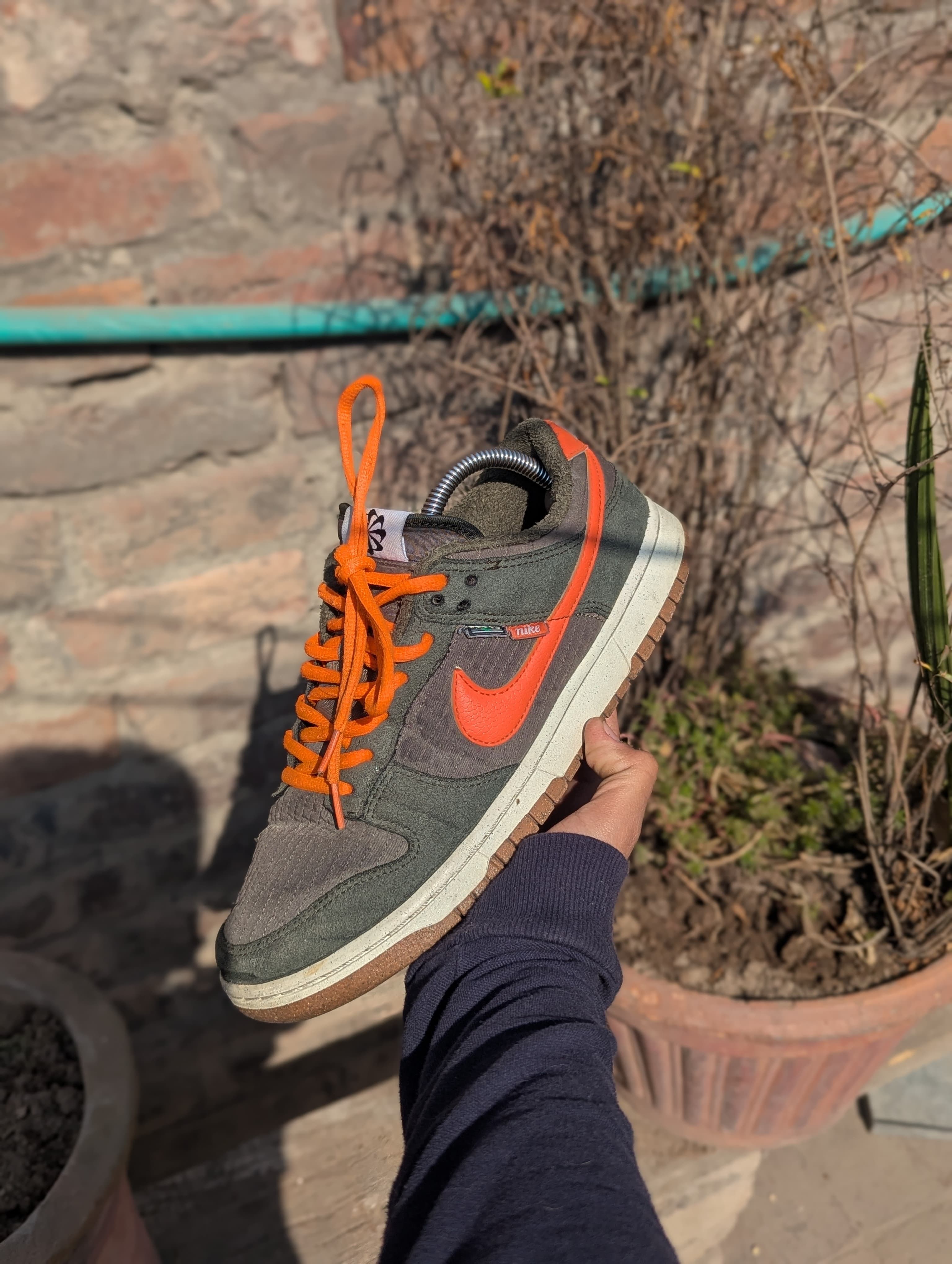 Nike sb dunks low