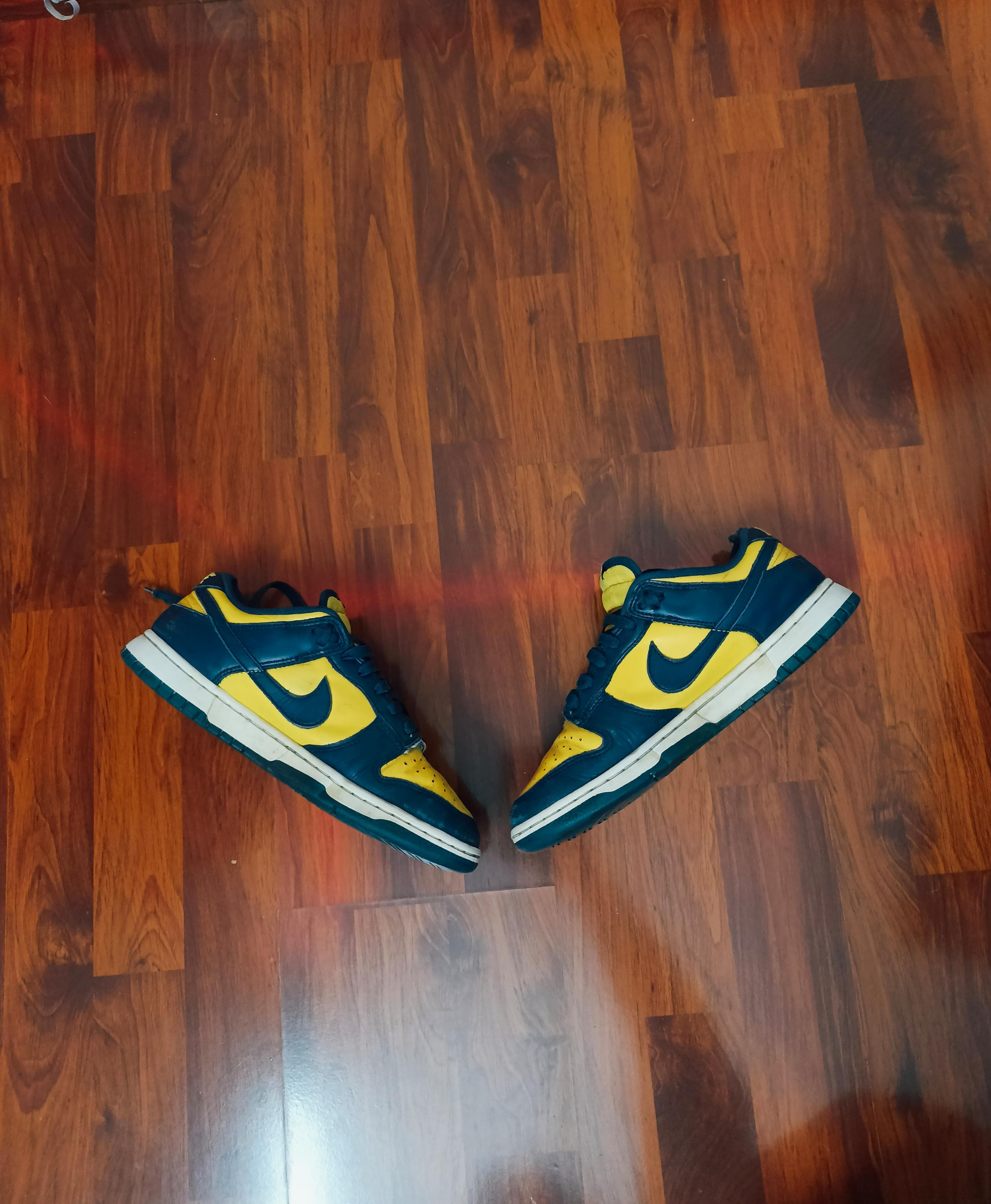 Nike michigan dunk