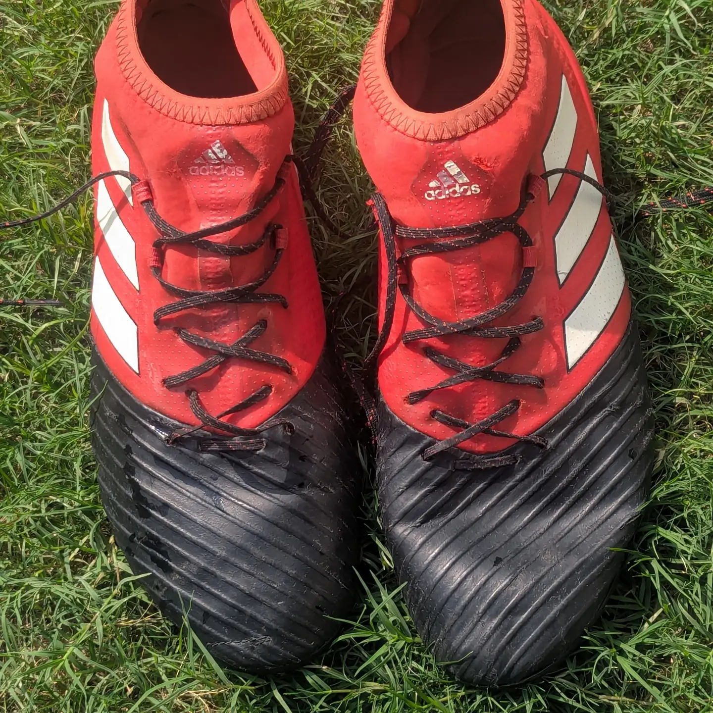 ADIDAS ACE STUDS